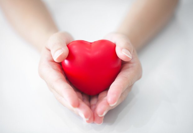 hands holding a red plastic heart